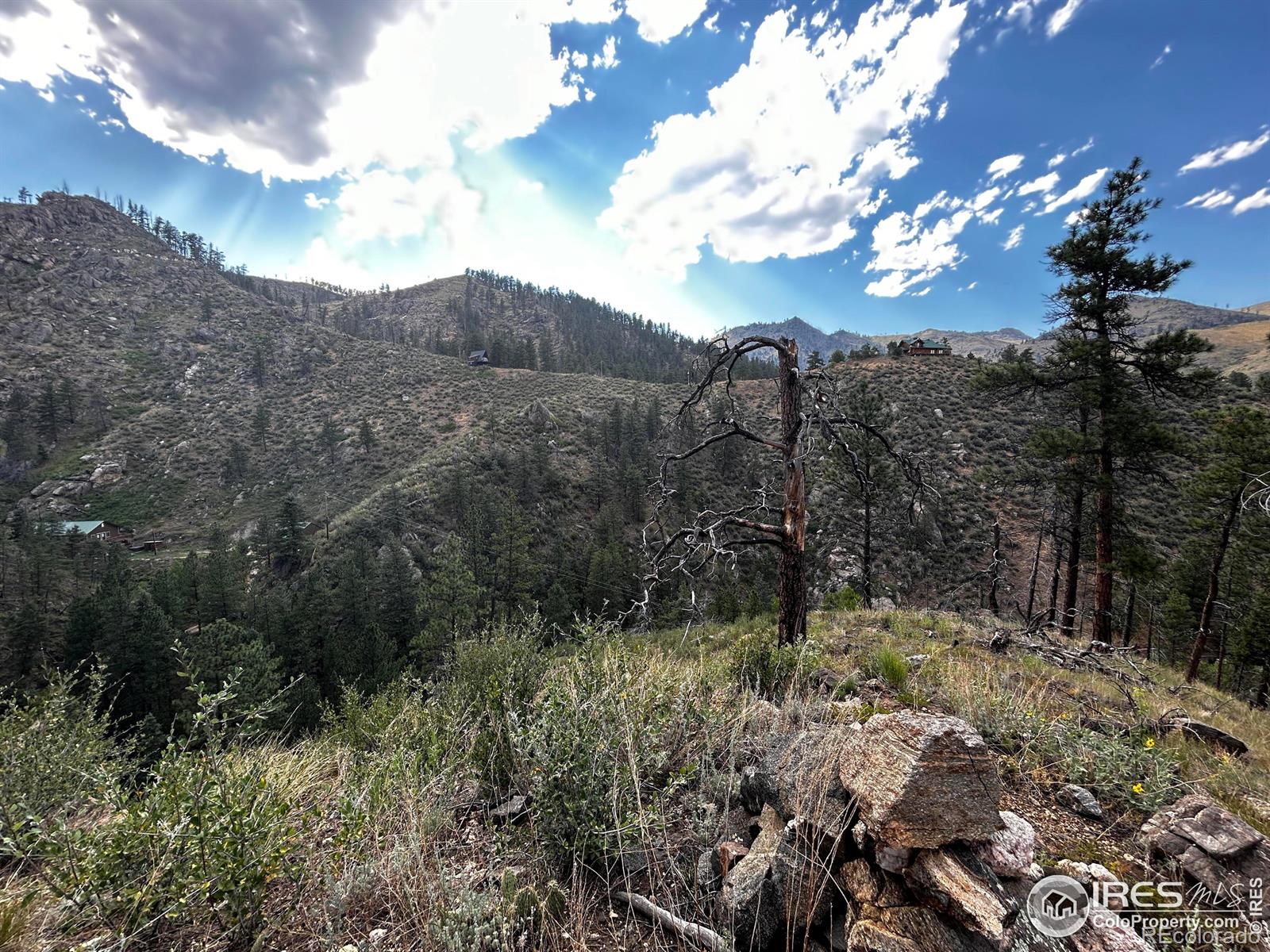 MLS Image #20 for 6785  poudre canyon road,bellvue, Colorado