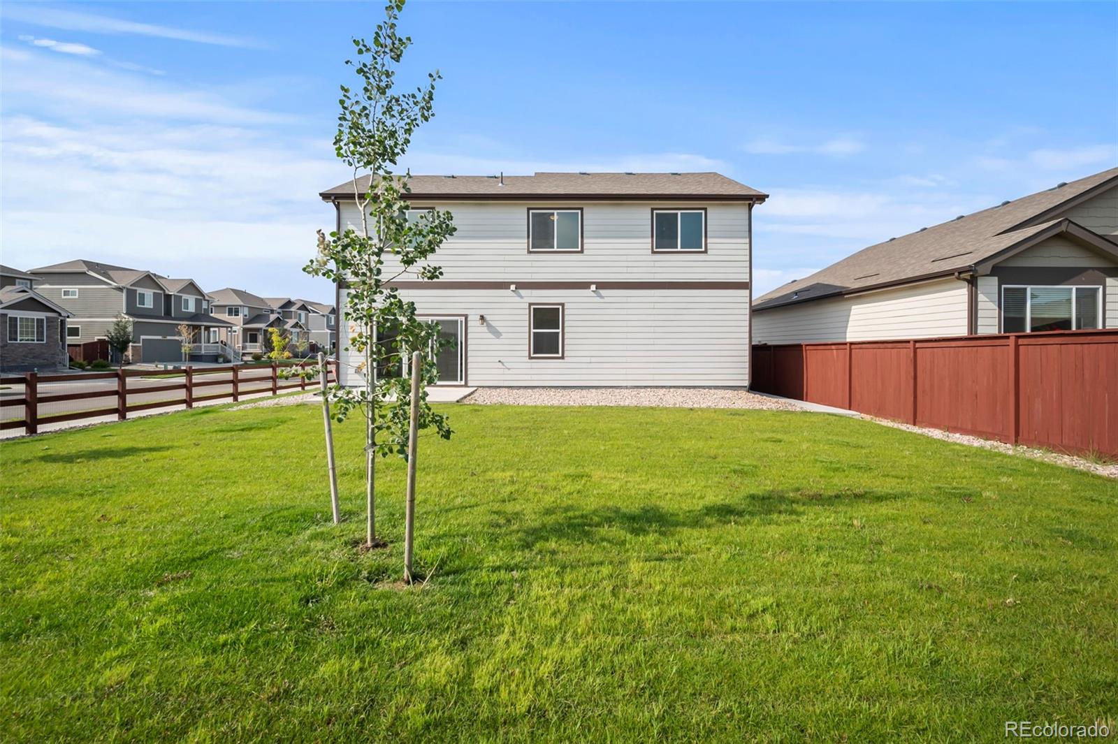 MLS Image #5 for 1816  garden flourish court,windsor, Colorado