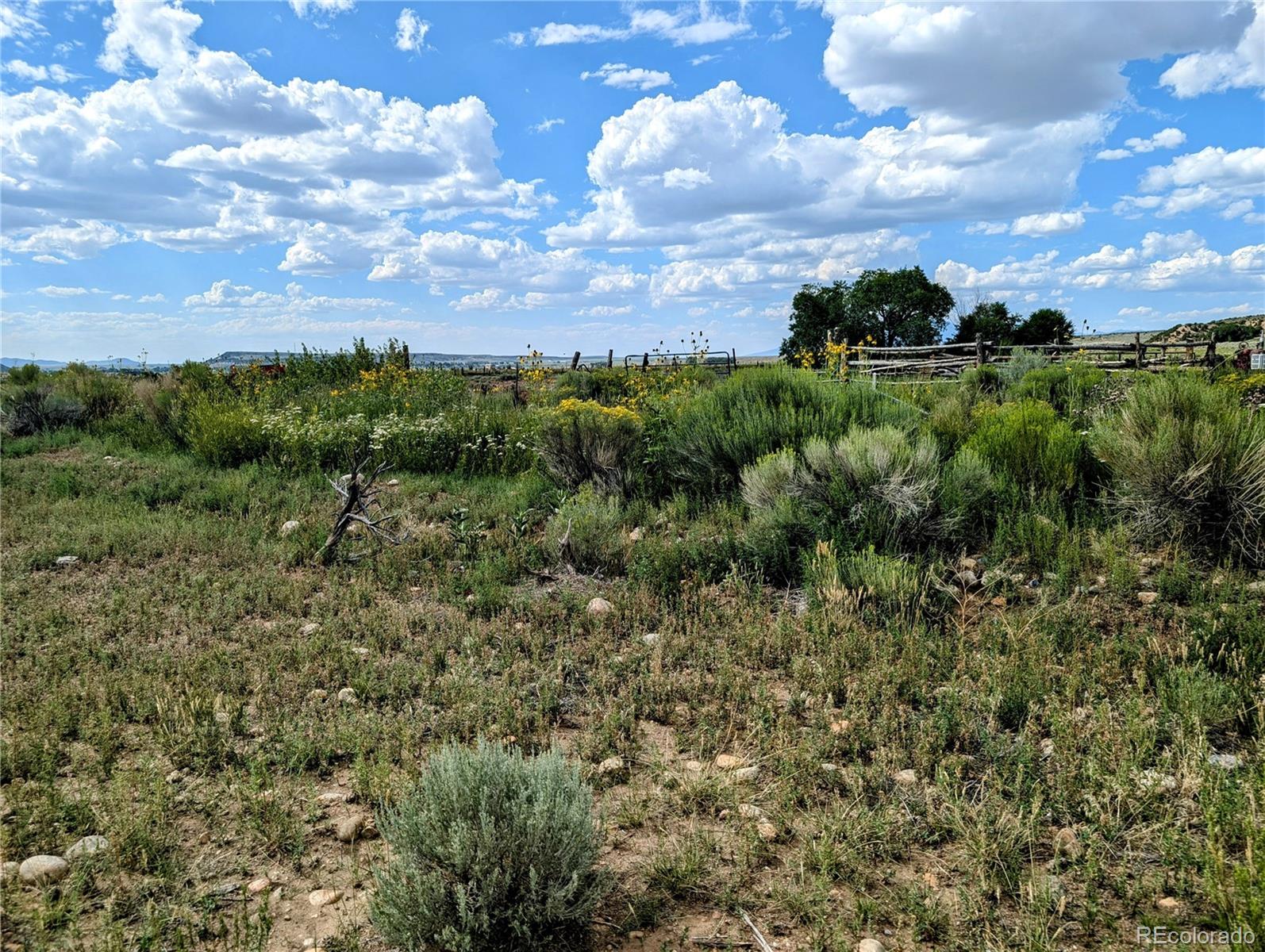 MLS Image #11 for 21493  county road p.6 ,san luis, Colorado