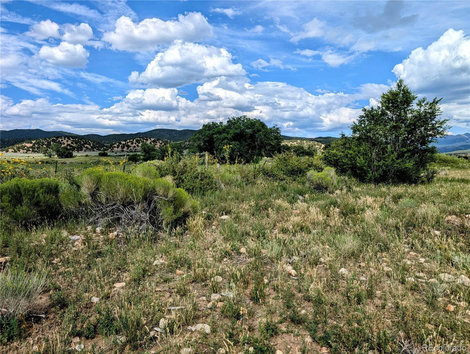 MLS Image #12 for 21493  county road p.6 ,san luis, Colorado