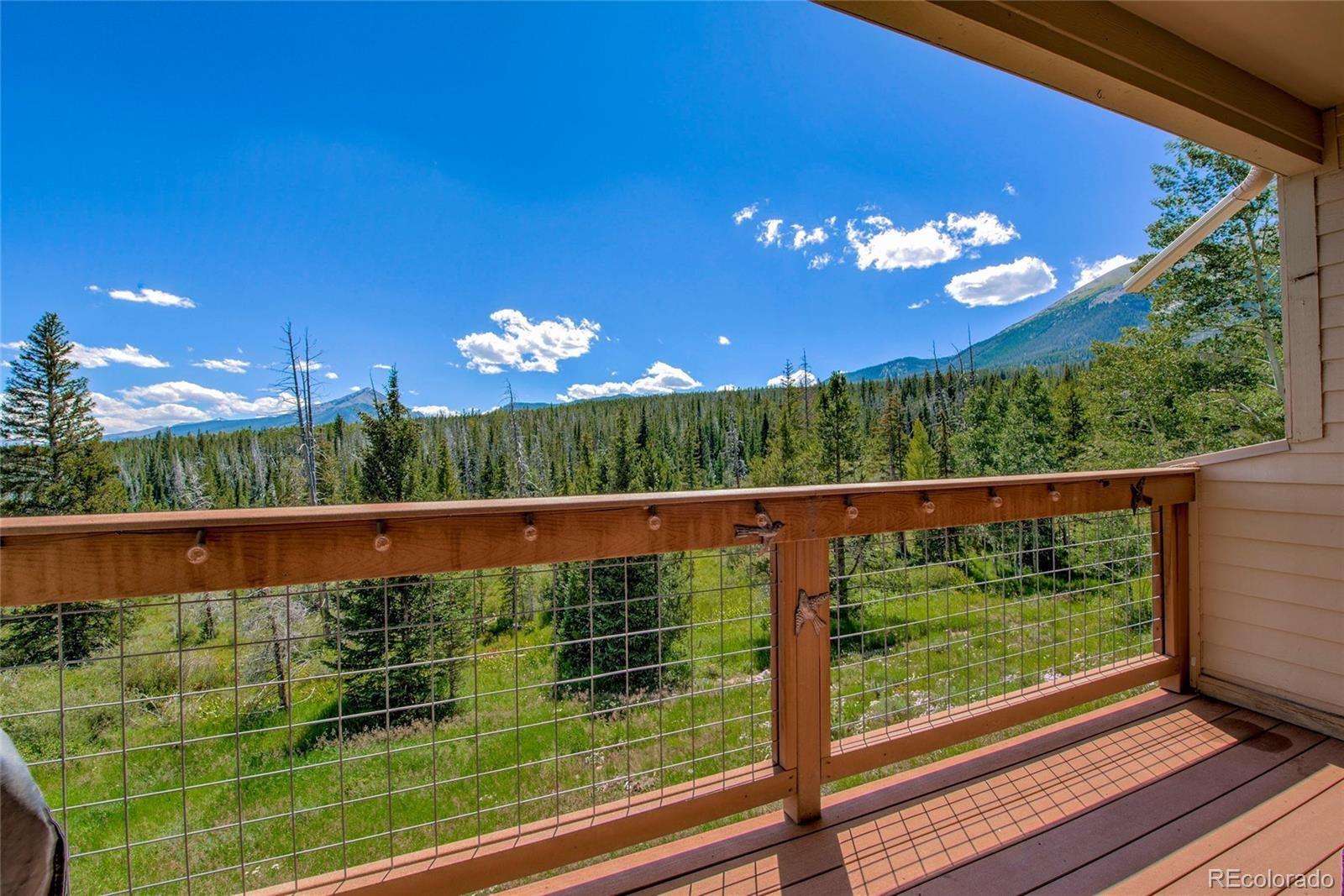 MLS Image #1 for 95200  ryan gulch road,silverthorne, Colorado