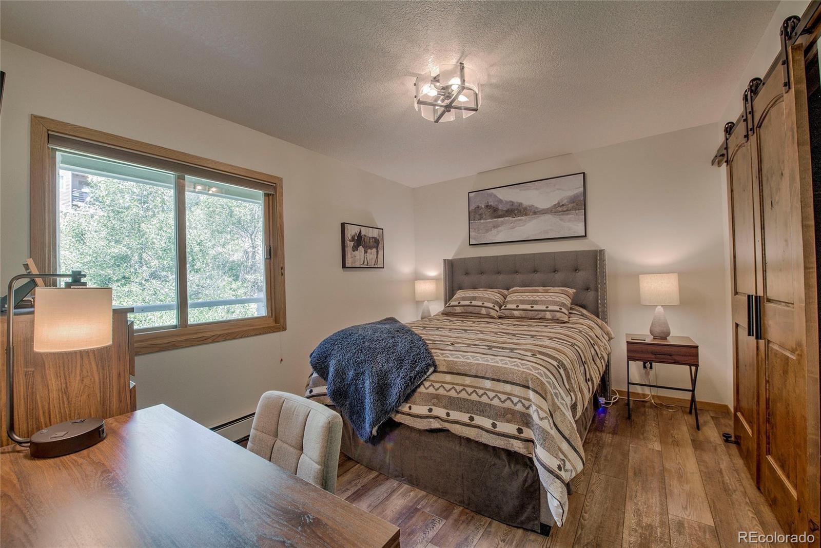 MLS Image #12 for 95200  ryan gulch road,silverthorne, Colorado