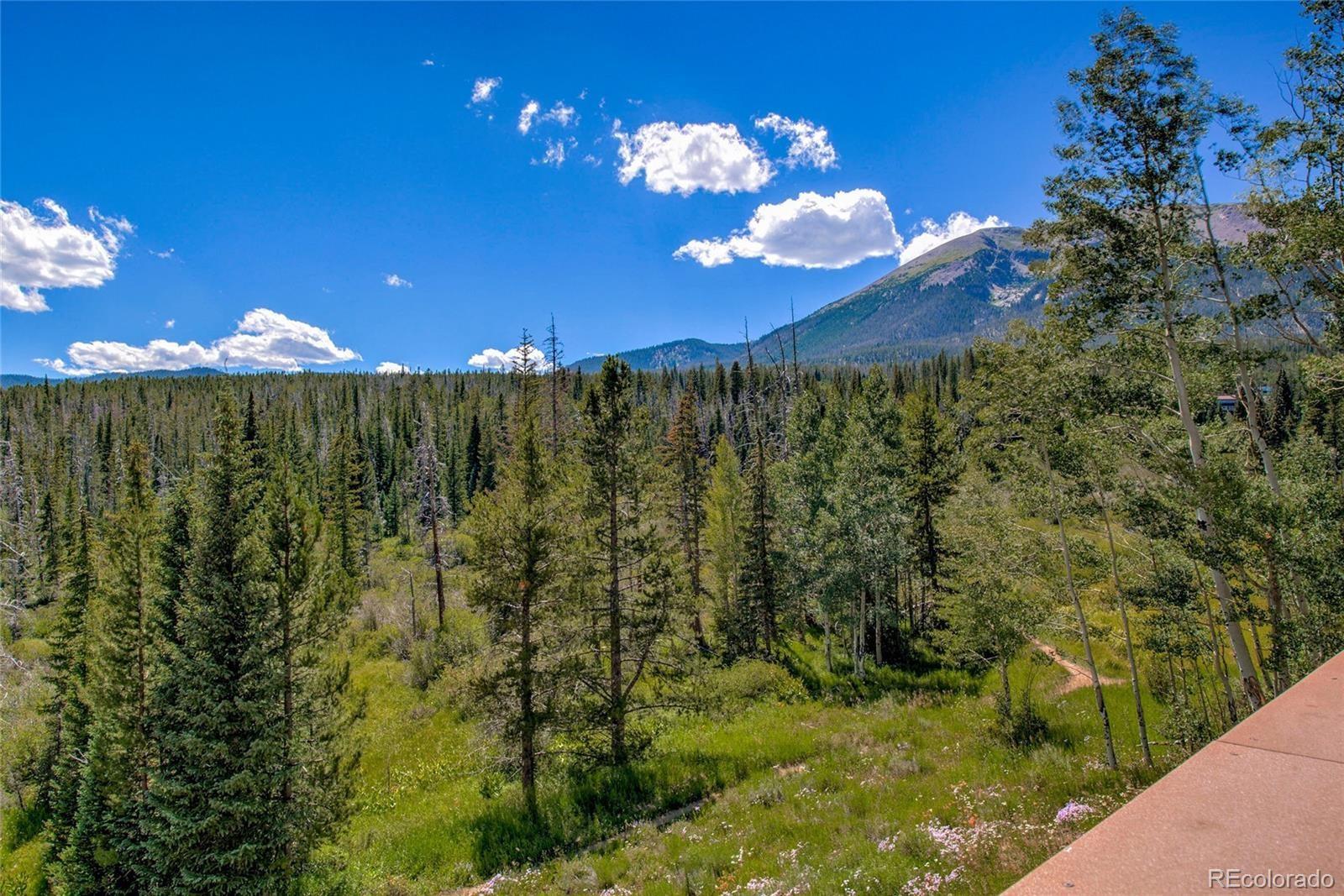 MLS Image #18 for 95200  ryan gulch road,silverthorne, Colorado