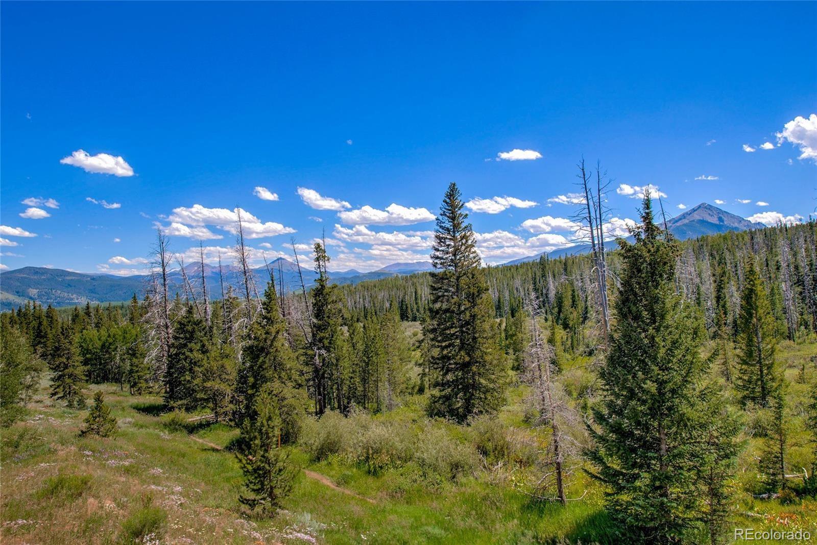 MLS Image #19 for 95200  ryan gulch road,silverthorne, Colorado