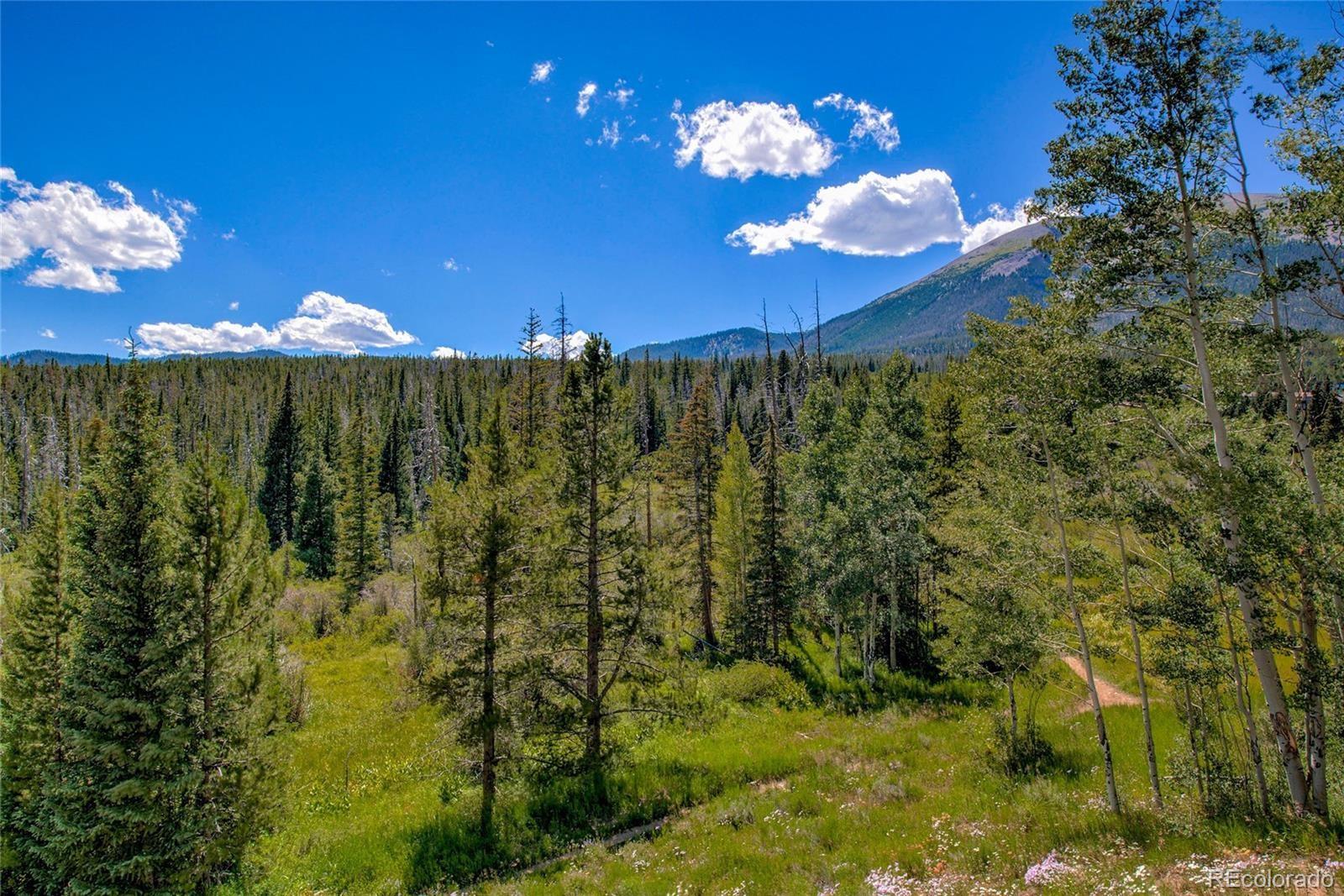 MLS Image #20 for 95200  ryan gulch road,silverthorne, Colorado