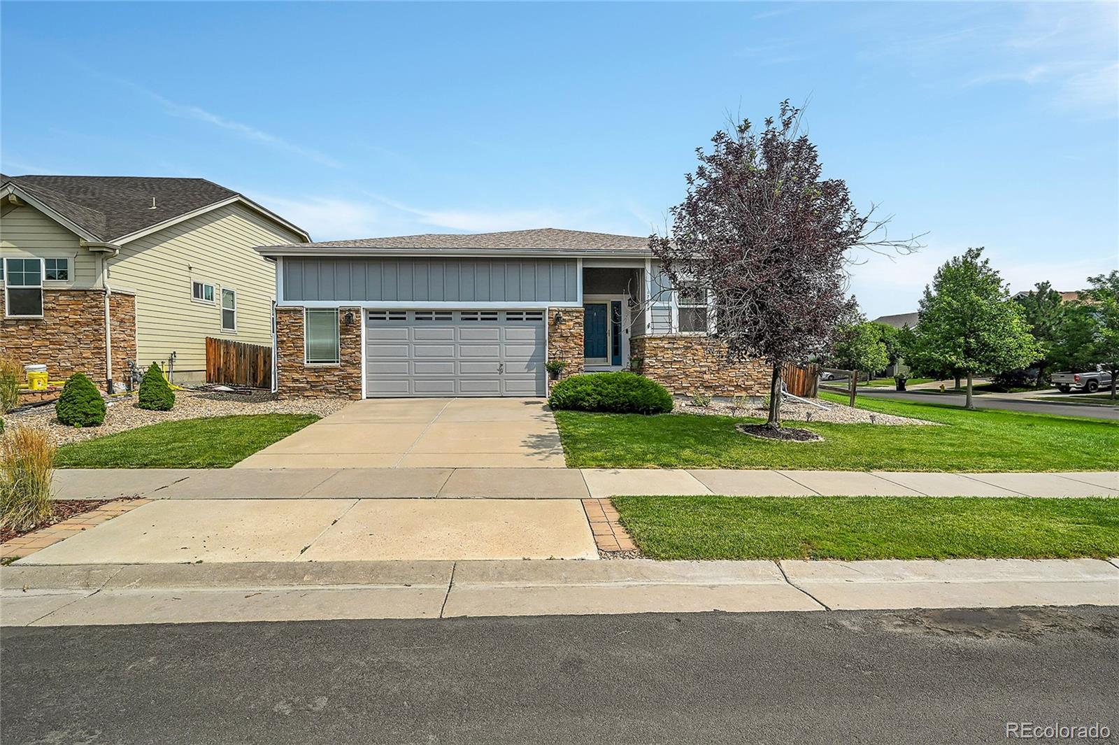 MLS Image #2 for 17075  pale anemone street,parker, Colorado