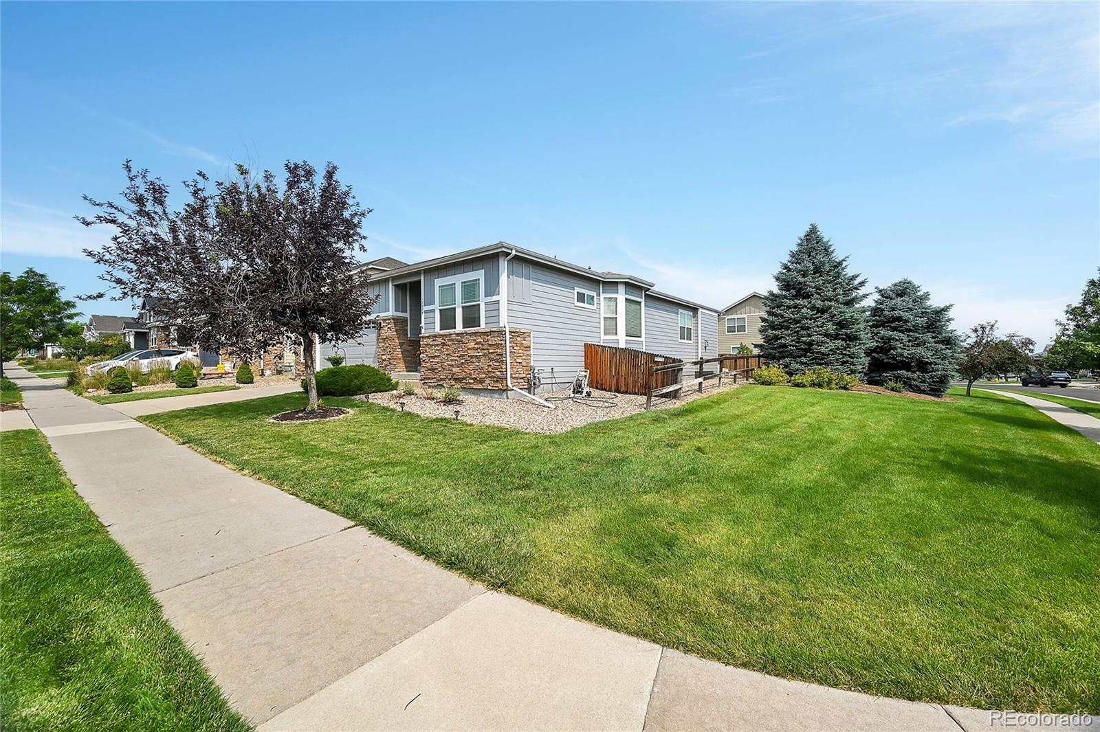 MLS Image #4 for 17075  pale anemone street,parker, Colorado