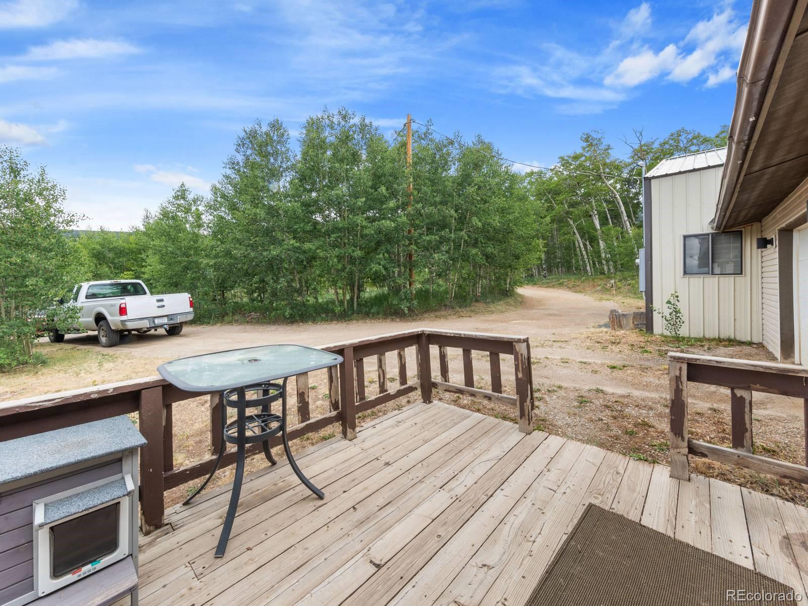 MLS Image #20 for 37  warm springs road,fairplay, Colorado