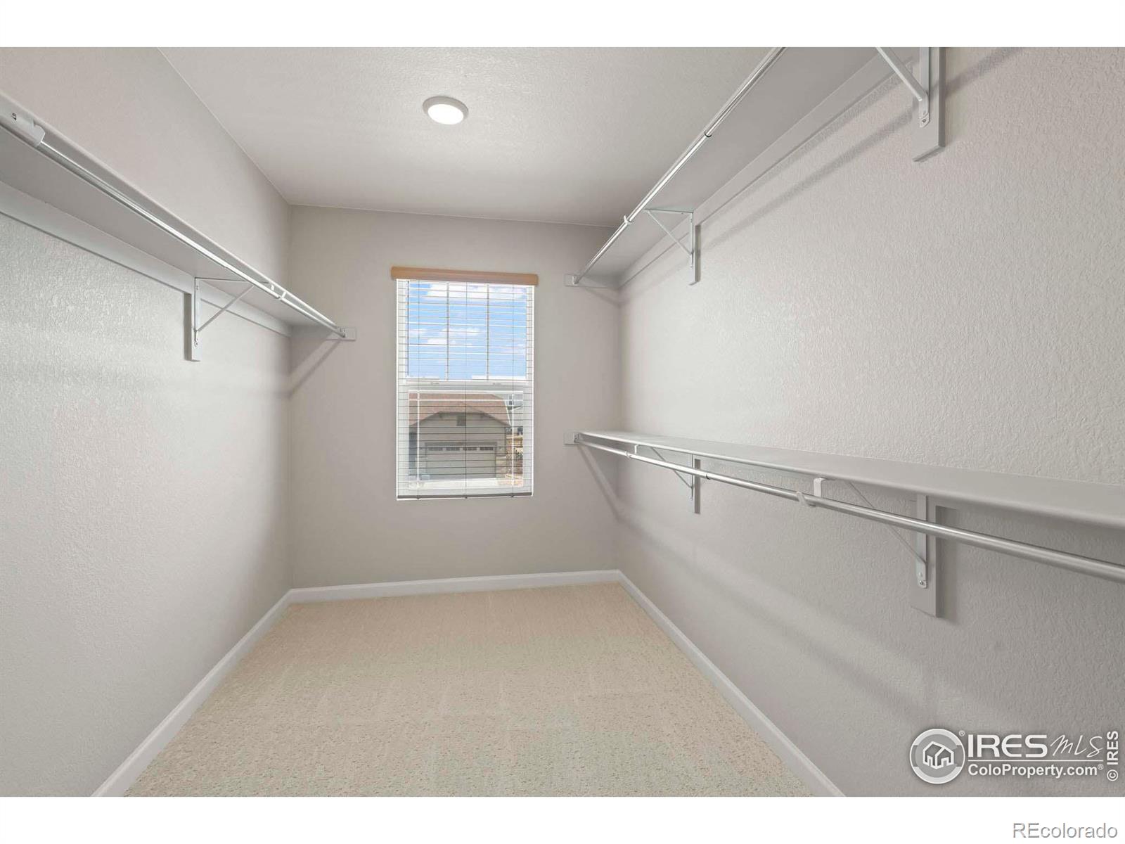 MLS Image #15 for 737  gold hill drive,erie, Colorado