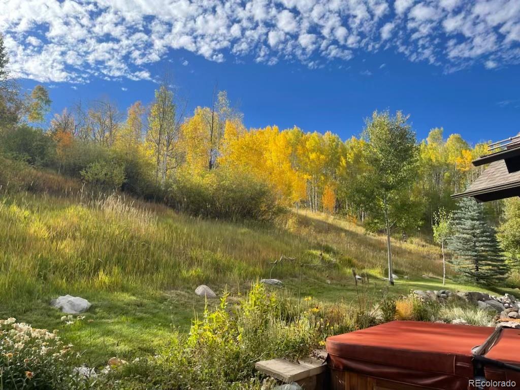 MLS Image #49 for 2801  honors court,silverthorne, Colorado