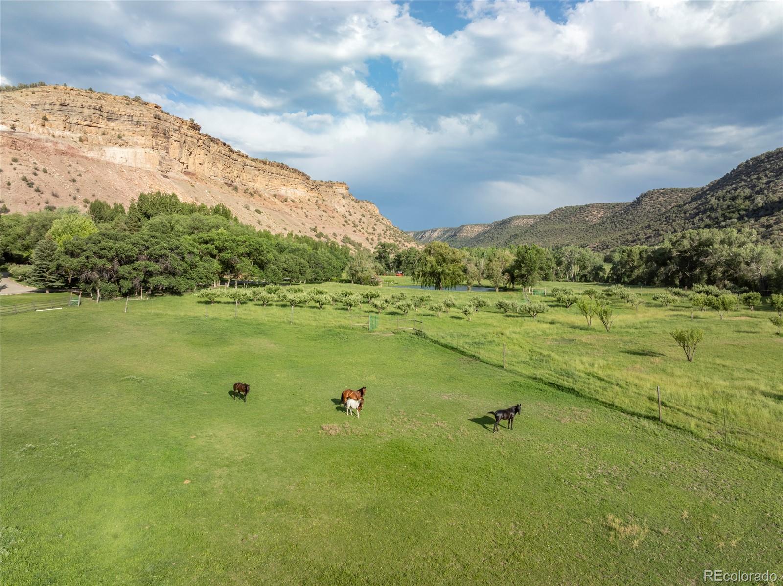 MLS Image #29 for 34074  fruitland mesa road,crawford, Colorado