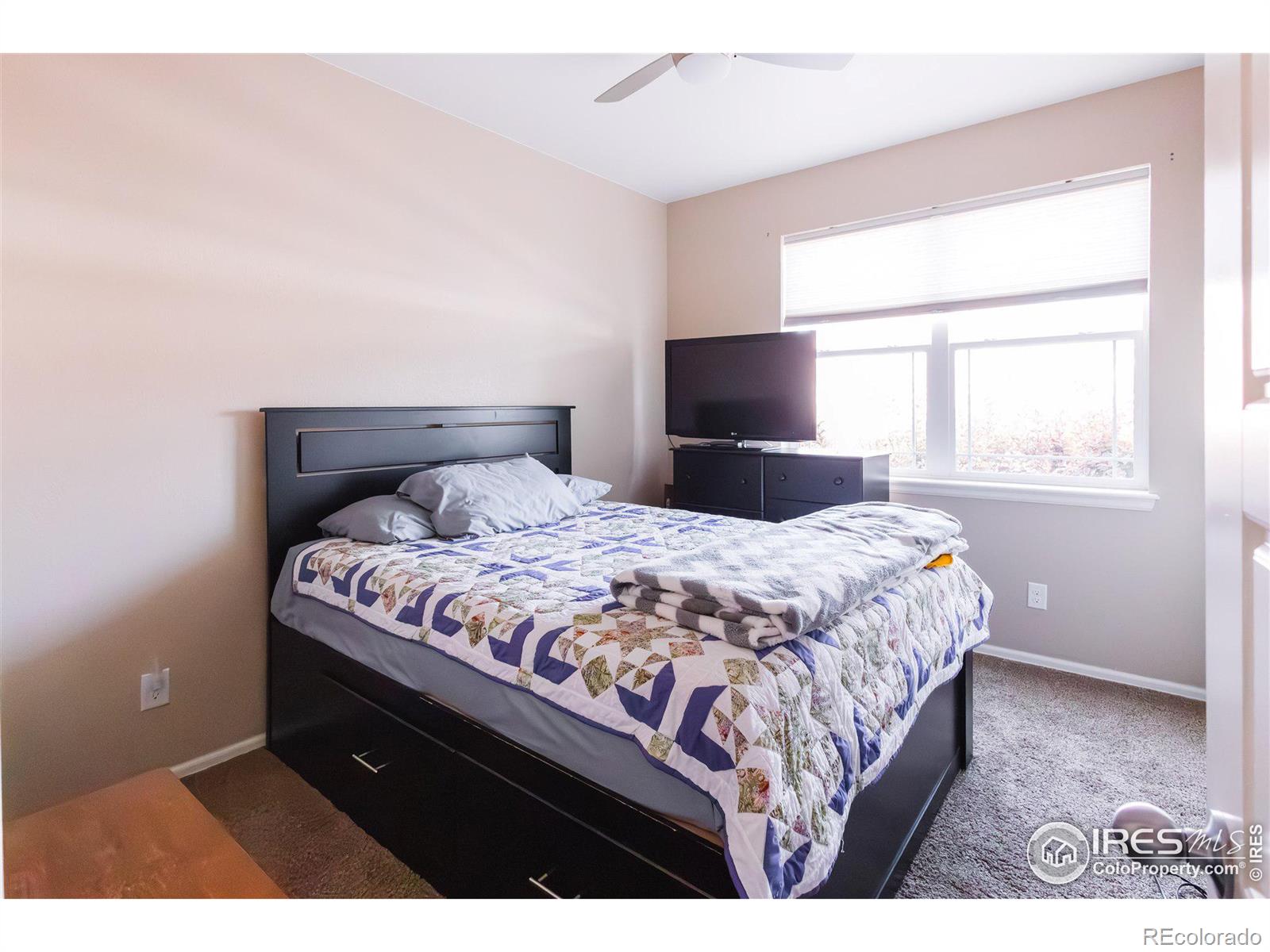 MLS Image #19 for 2016  81st avenue,greeley, Colorado