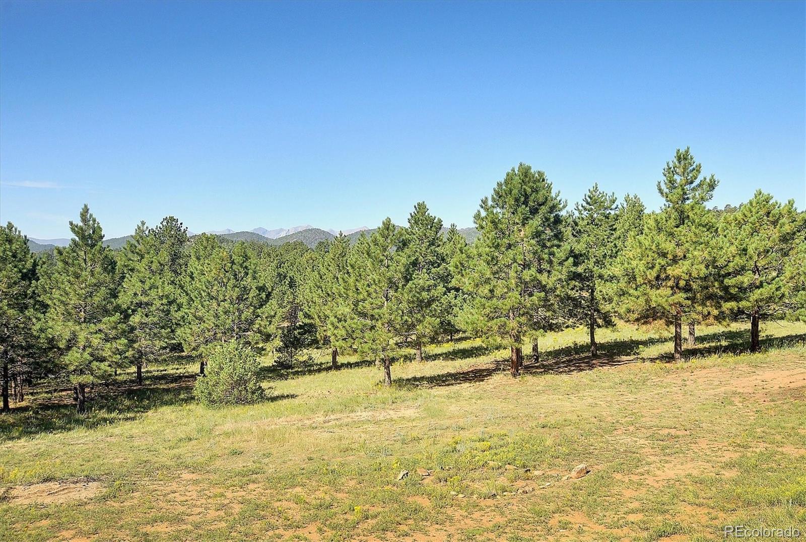 MLS Image #2 for 1111  red feather road,cotopaxi, Colorado