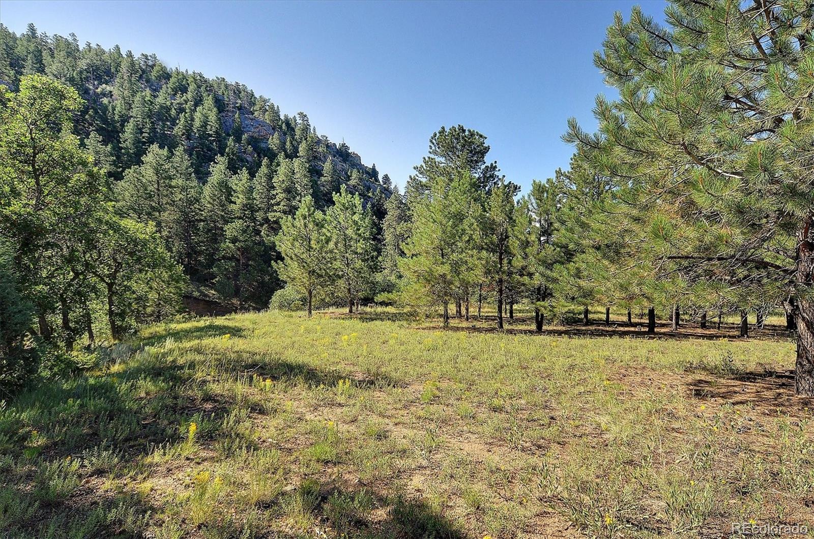 MLS Image #32 for 1111  red feather road,cotopaxi, Colorado