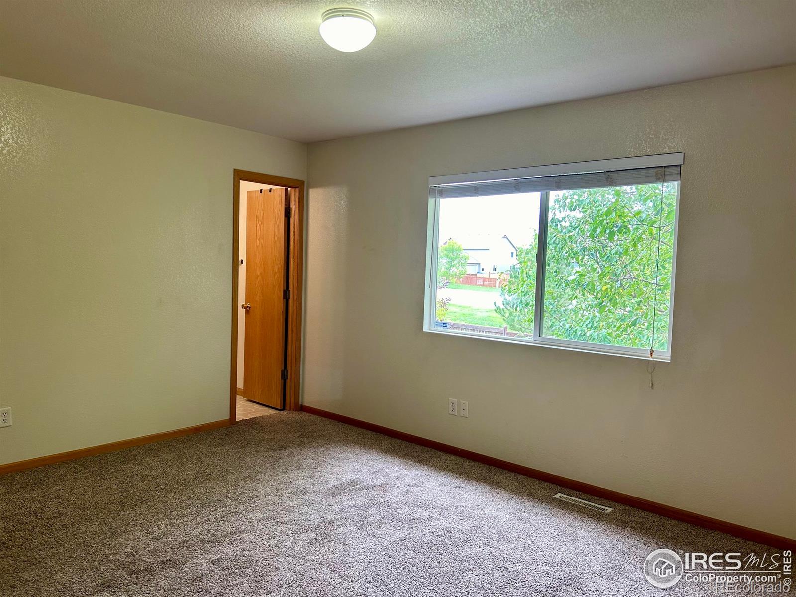 MLS Image #14 for 3375  coal creek street,loveland, Colorado