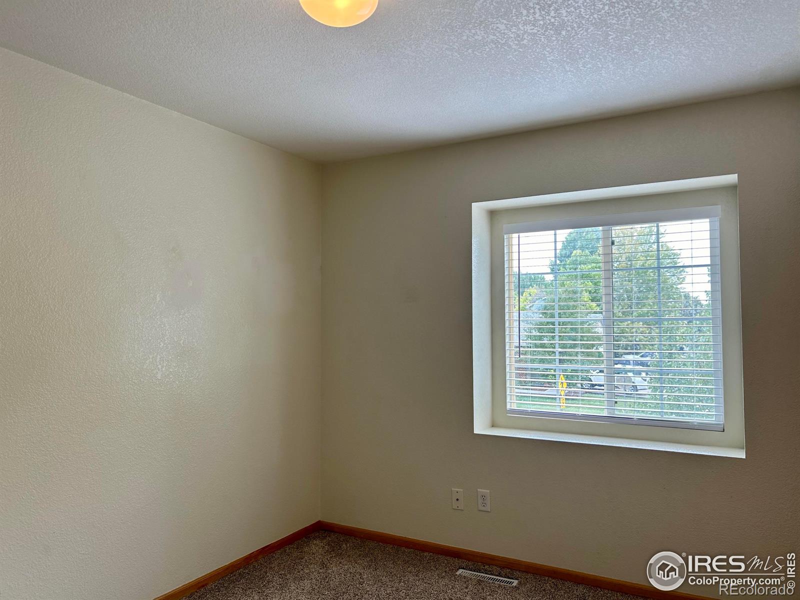 MLS Image #25 for 3375  coal creek street,loveland, Colorado