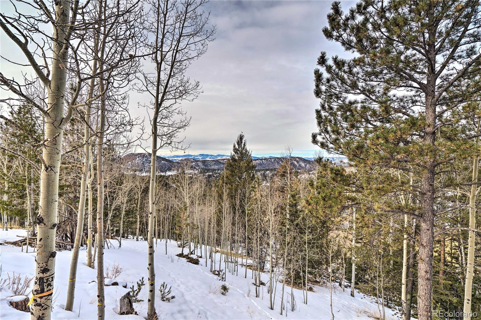 MLS Image #24 for 1021  may queen drive,cripple creek, Colorado