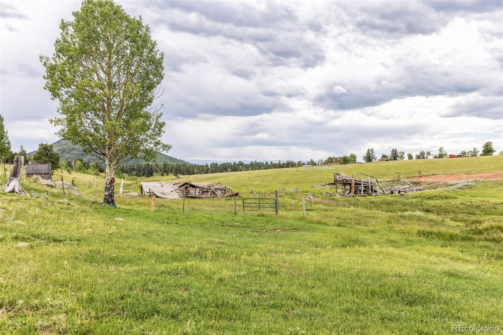 MLS Image #29 for 2947  county road 86 ,victor, Colorado