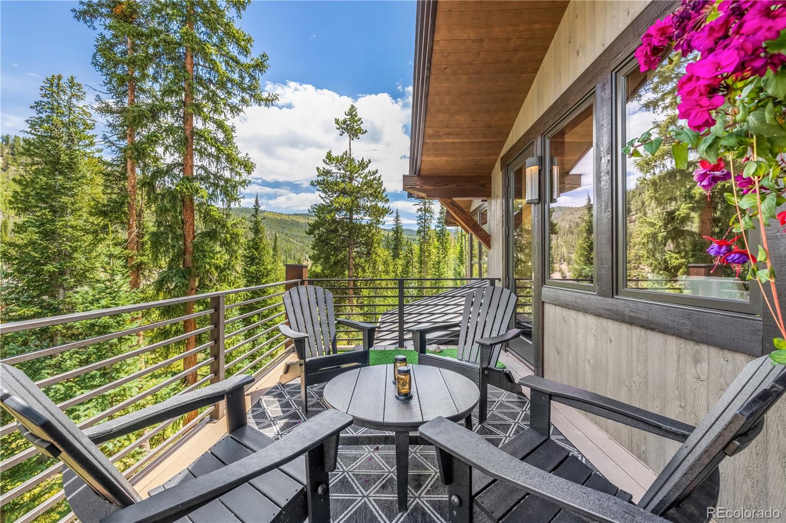 MLS Image #13 for 788  preston way,breckenridge, Colorado