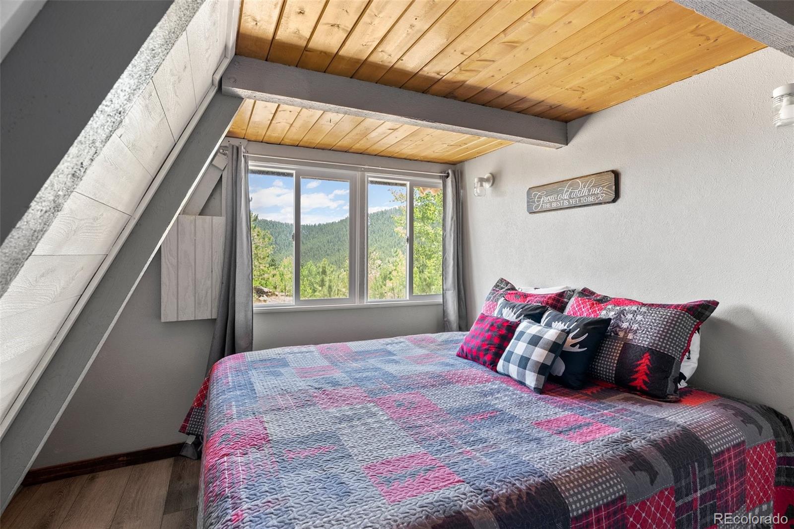 MLS Image #10 for 167  hall road,bailey, Colorado