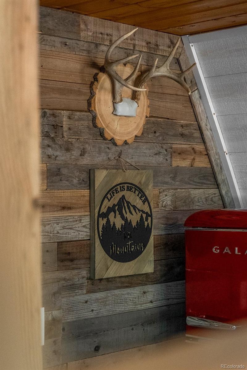 MLS Image #19 for 167  hall road,bailey, Colorado