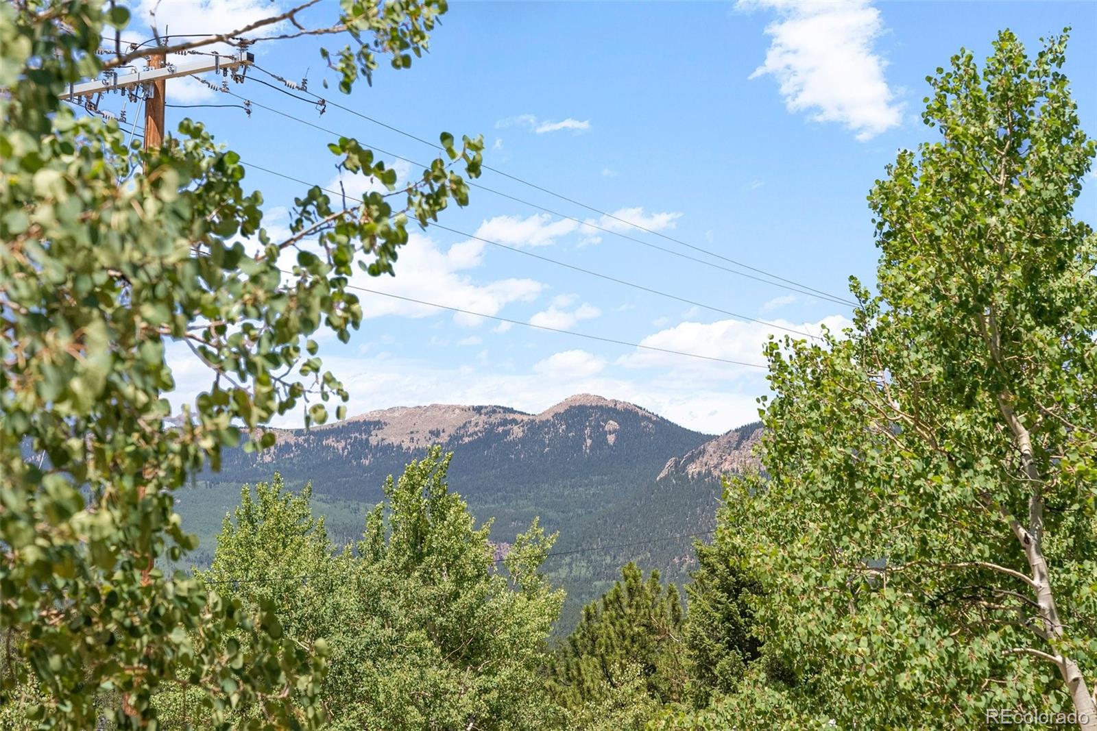 MLS Image #25 for 167  hall road,bailey, Colorado