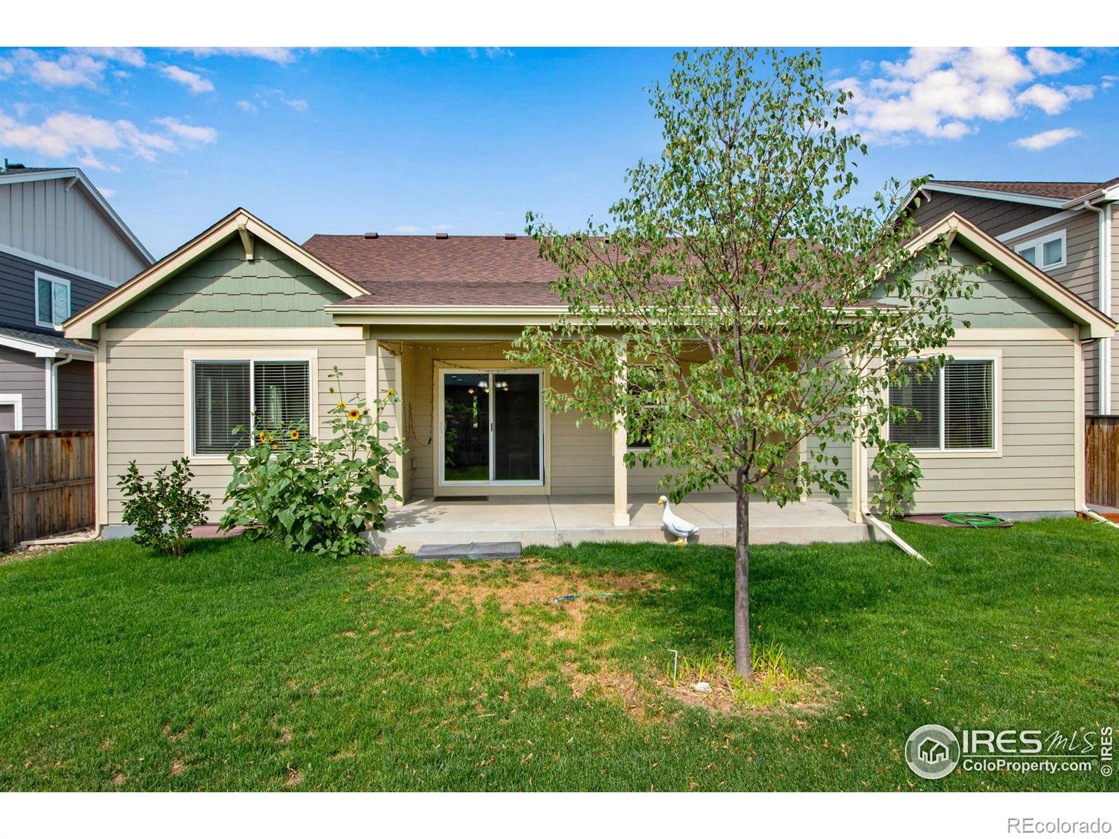 MLS Image #31 for 2268  adobe drive,fort collins, Colorado