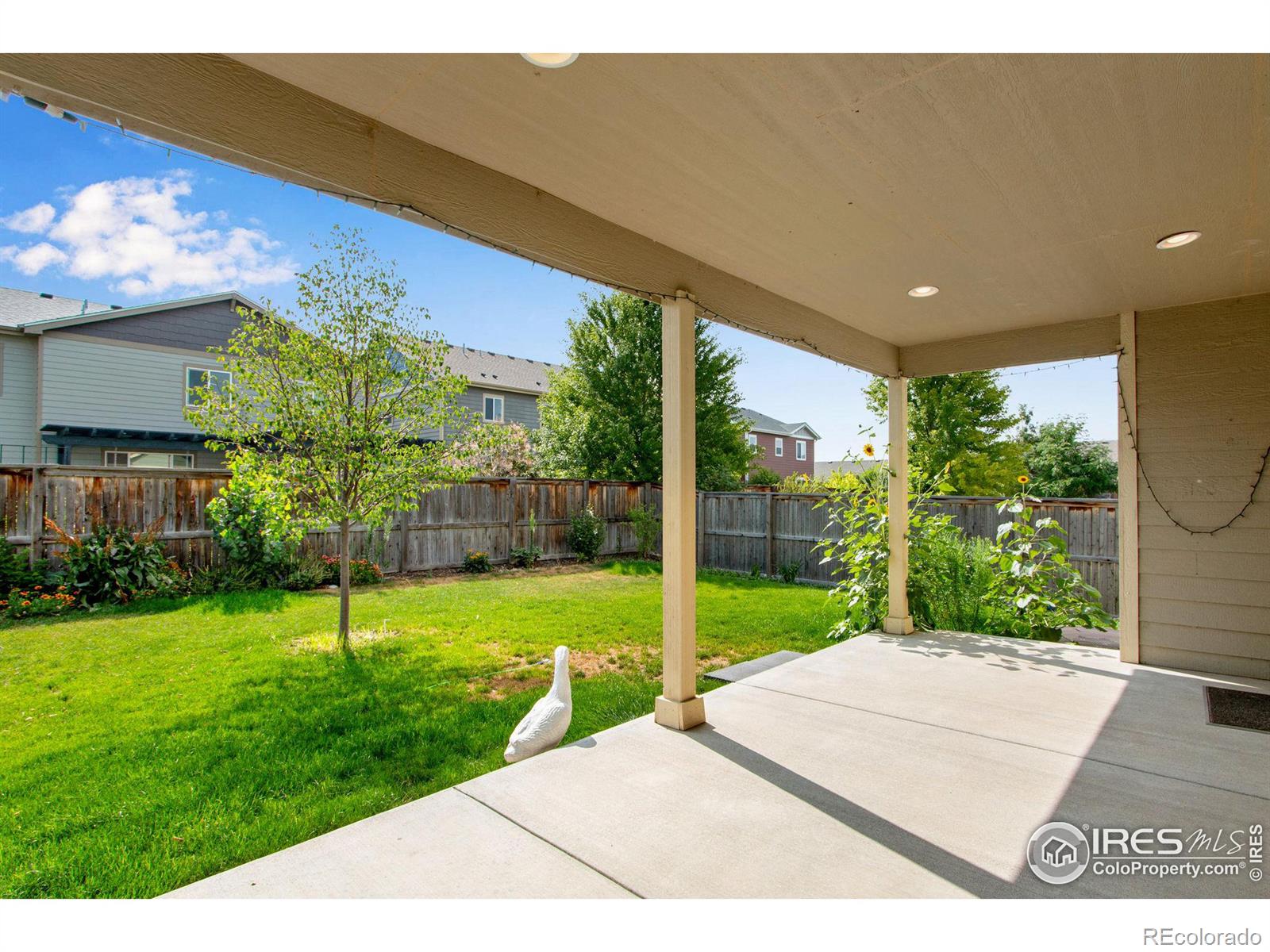 MLS Image #35 for 2268  adobe drive,fort collins, Colorado