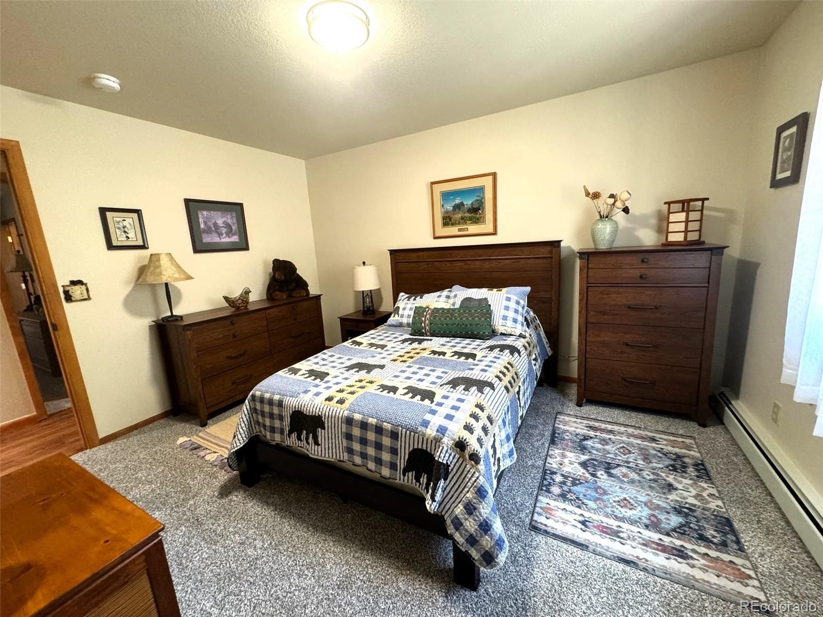 MLS Image #13 for 4091  singletree road,hartsel, Colorado