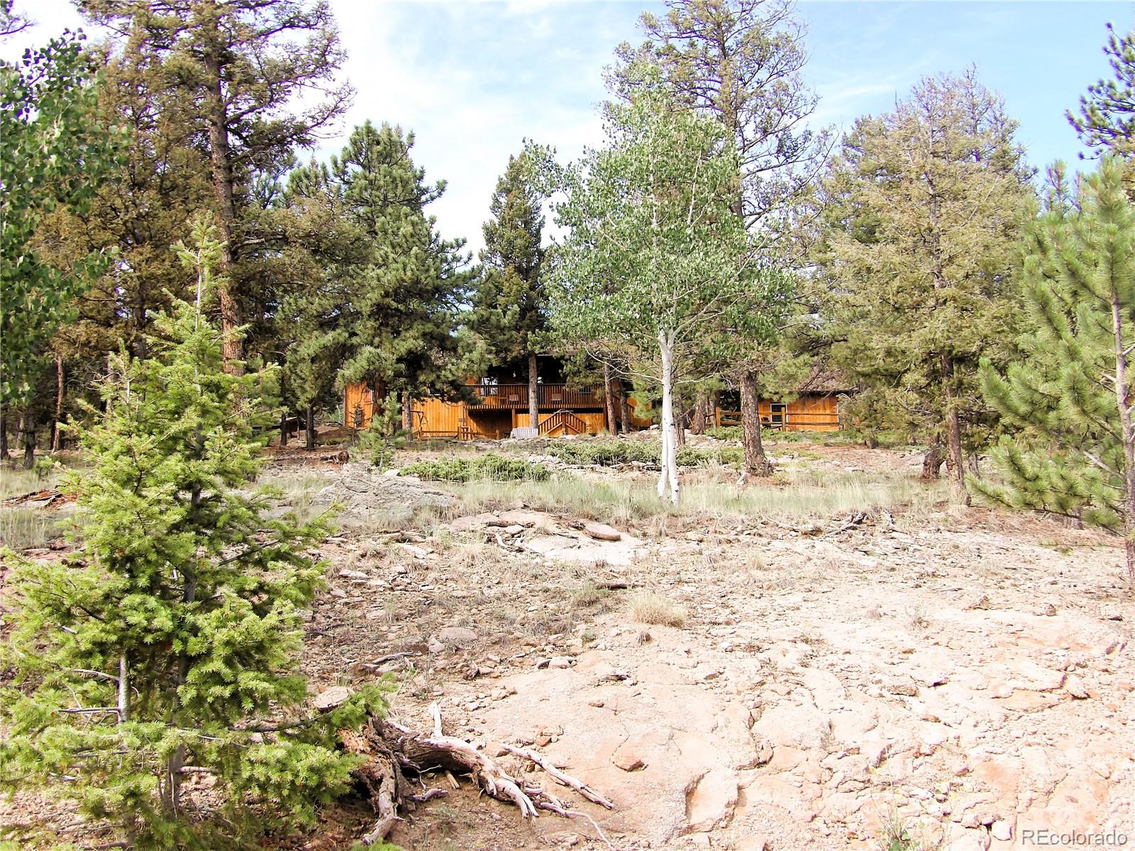 MLS Image #43 for 4091  singletree road,hartsel, Colorado