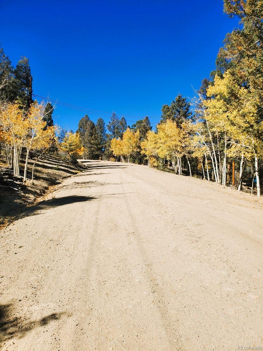 MLS Image #47 for 4091  singletree road,hartsel, Colorado