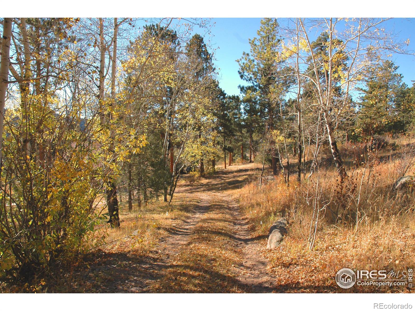 MLS Image #27 for 3501  devils gulch road,estes park, Colorado