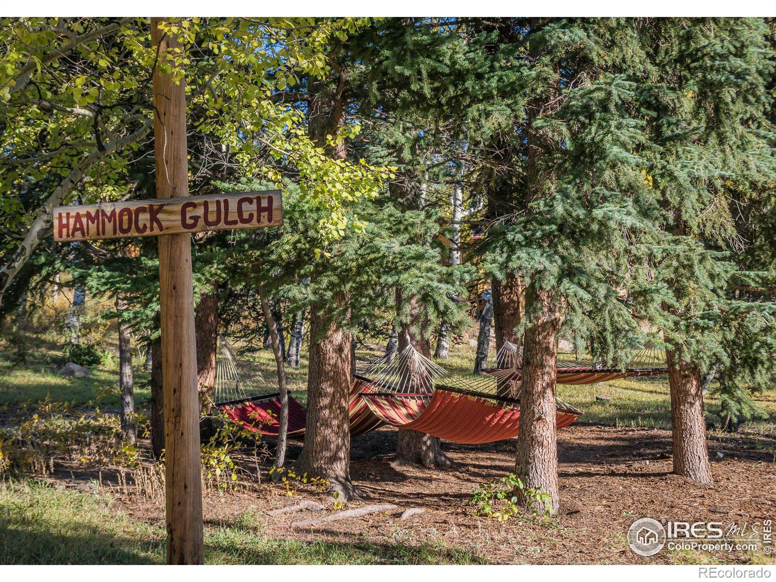 MLS Image #5 for 3501  devils gulch road,estes park, Colorado