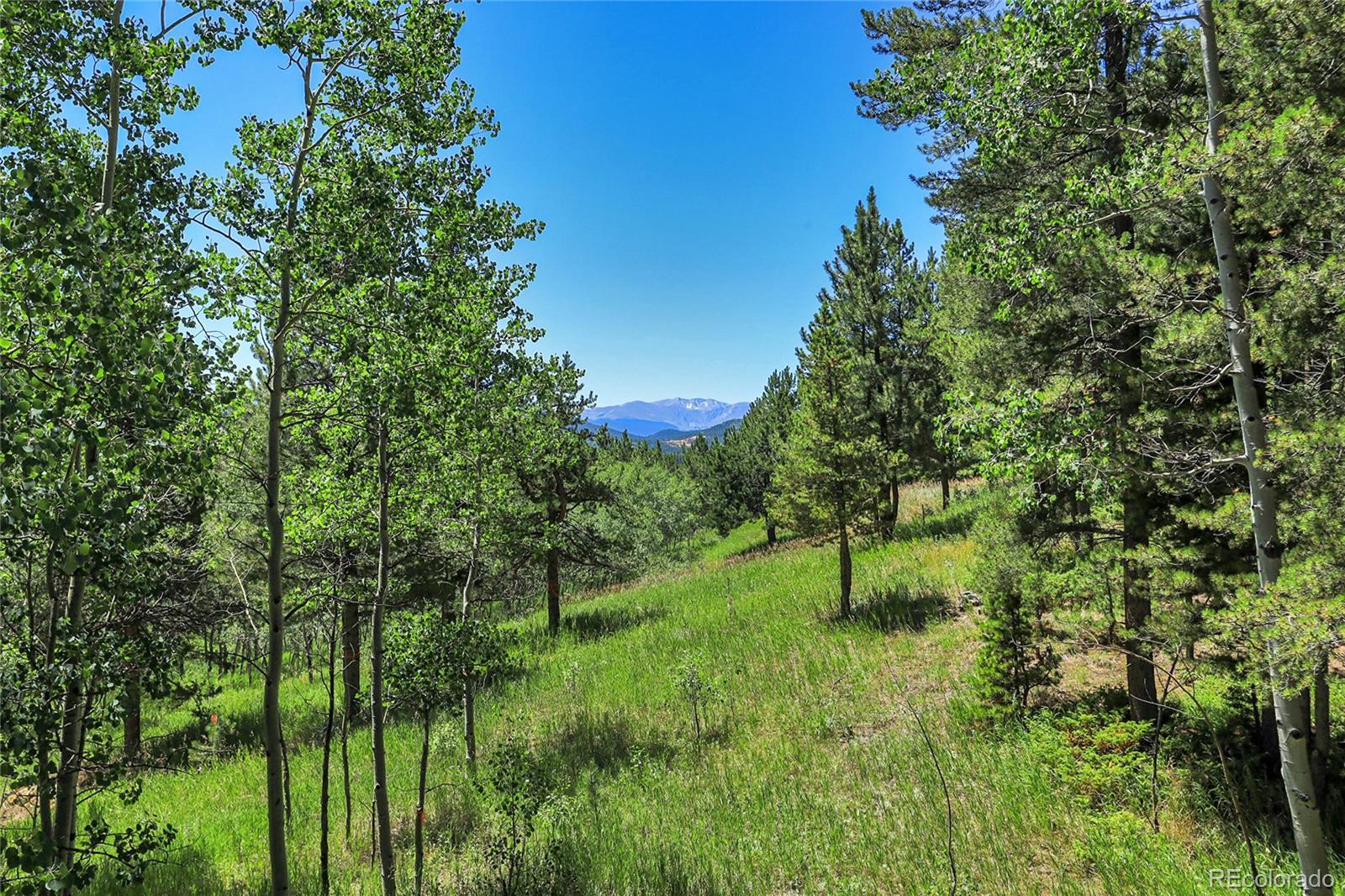 MLS Image #41 for 1201  hughesville road,black hawk, Colorado