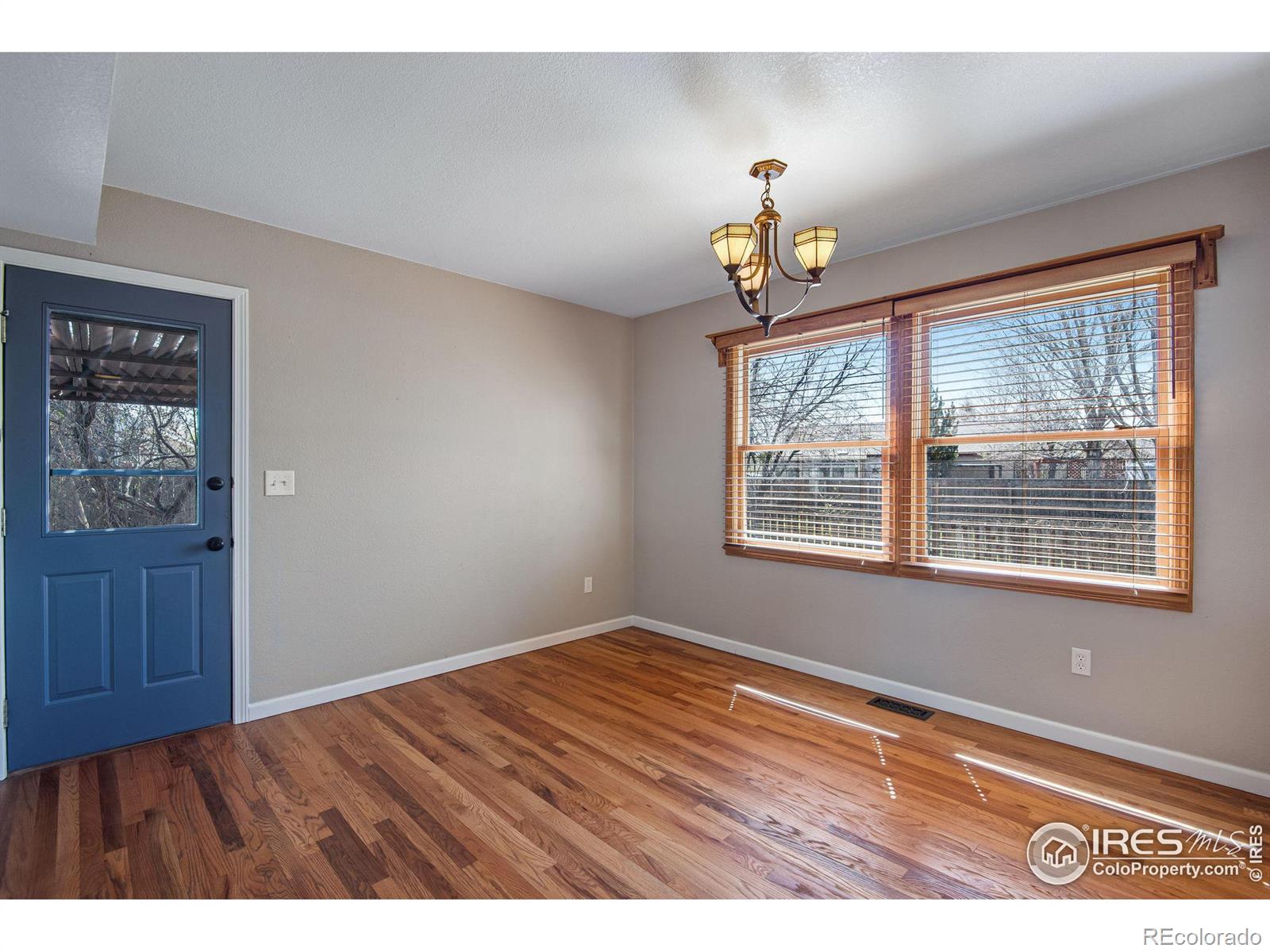 MLS Image #10 for 260  mulberry drive,windsor, Colorado