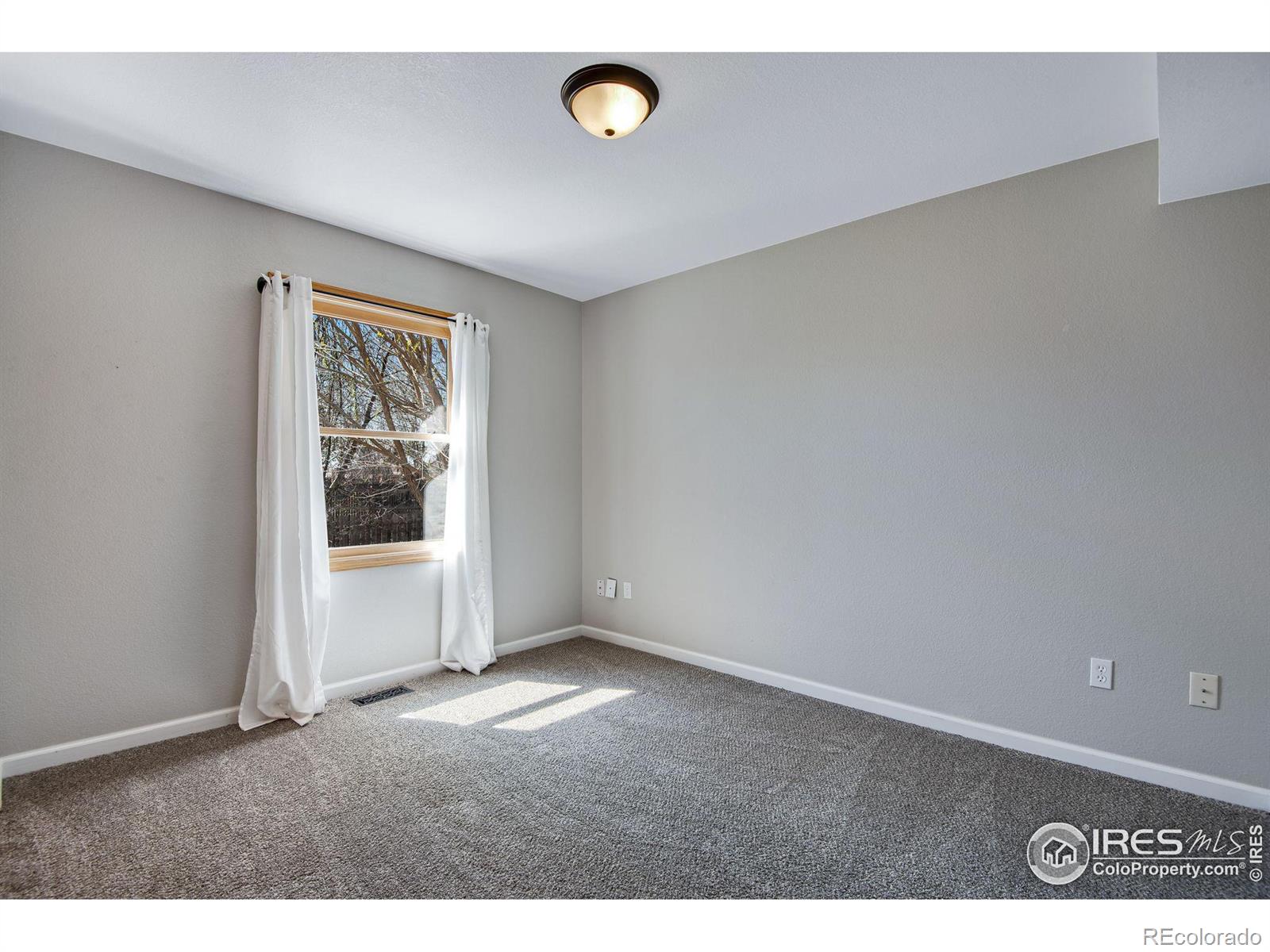 MLS Image #13 for 260  mulberry drive,windsor, Colorado