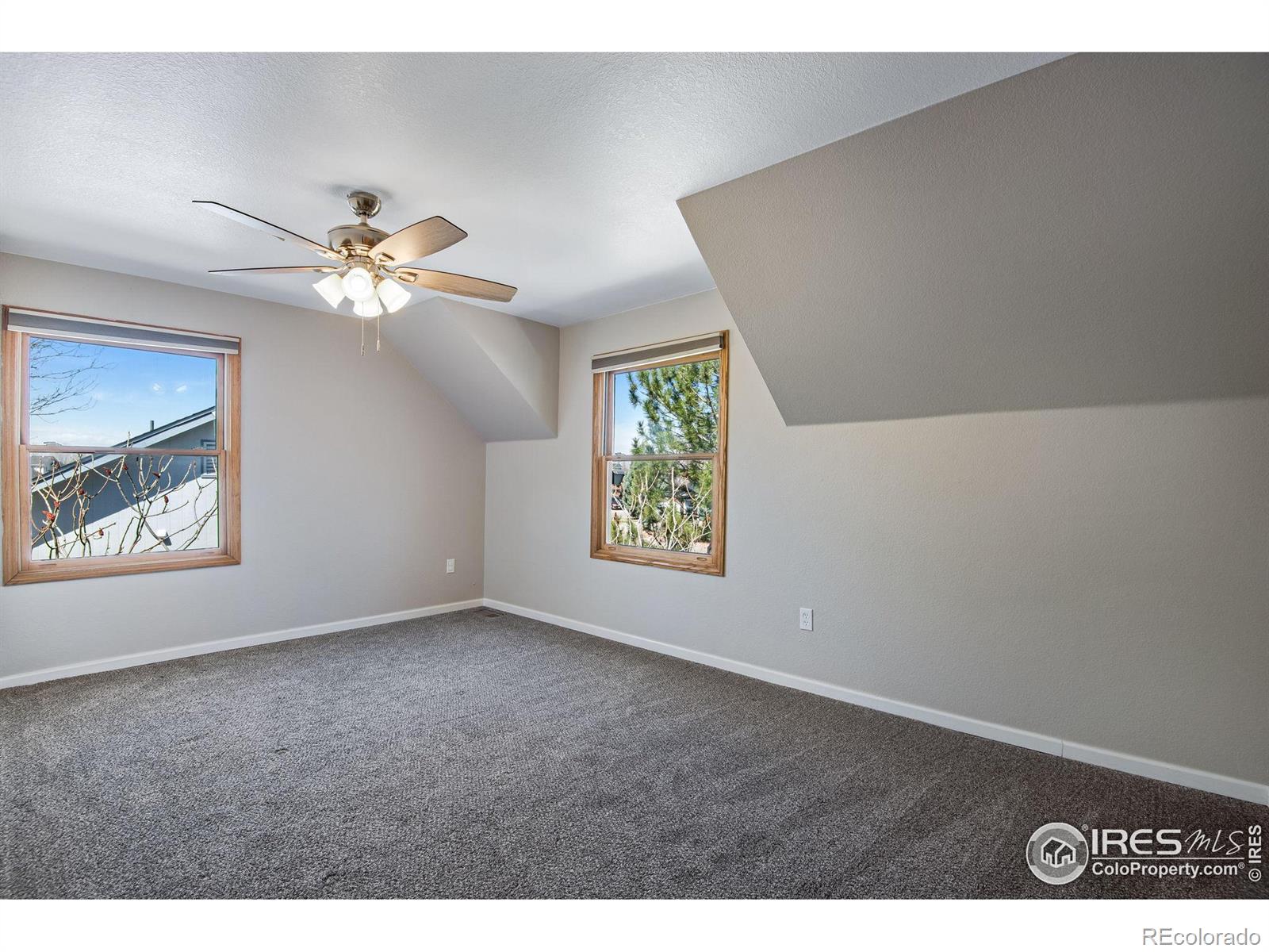 MLS Image #17 for 260  mulberry drive,windsor, Colorado