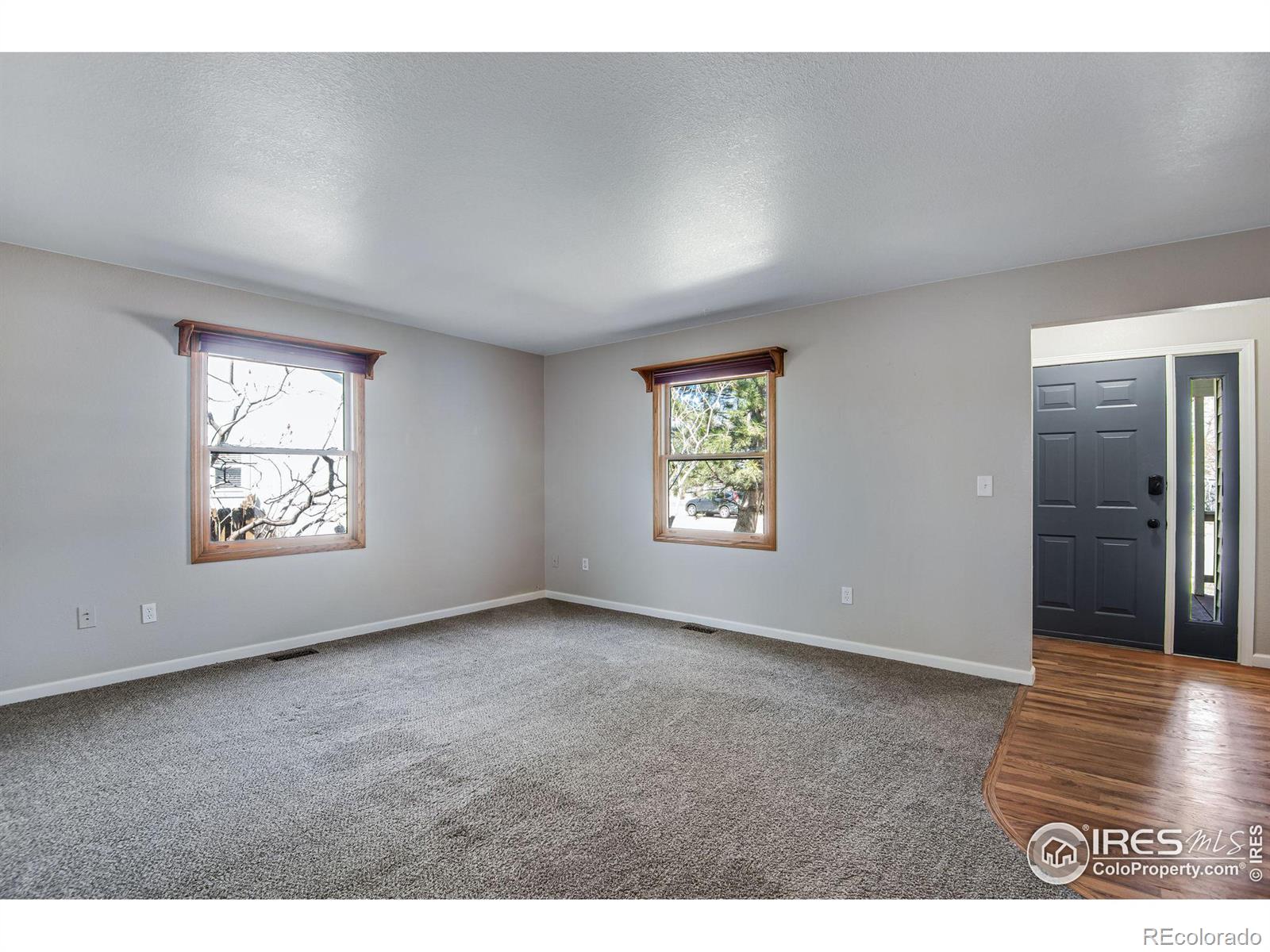 MLS Image #5 for 260  mulberry drive,windsor, Colorado