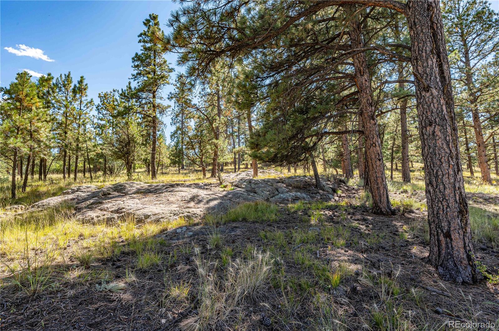 MLS Image #40 for 7532  county road 255 ,westcliffe, Colorado