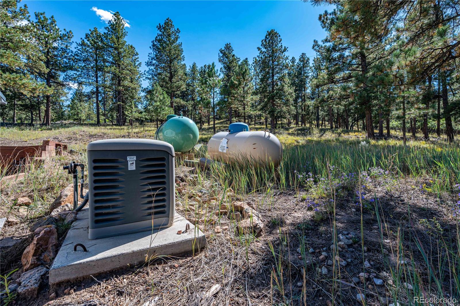 MLS Image #42 for 7532  county road 255 ,westcliffe, Colorado