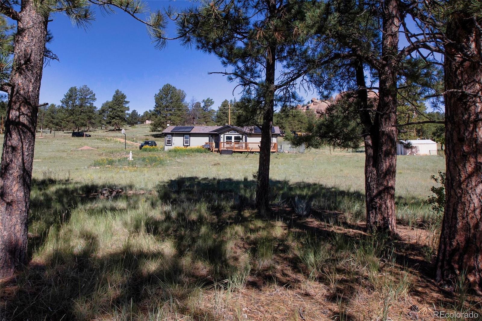 MLS Image #5 for 464  hackamore drive,florissant, Colorado