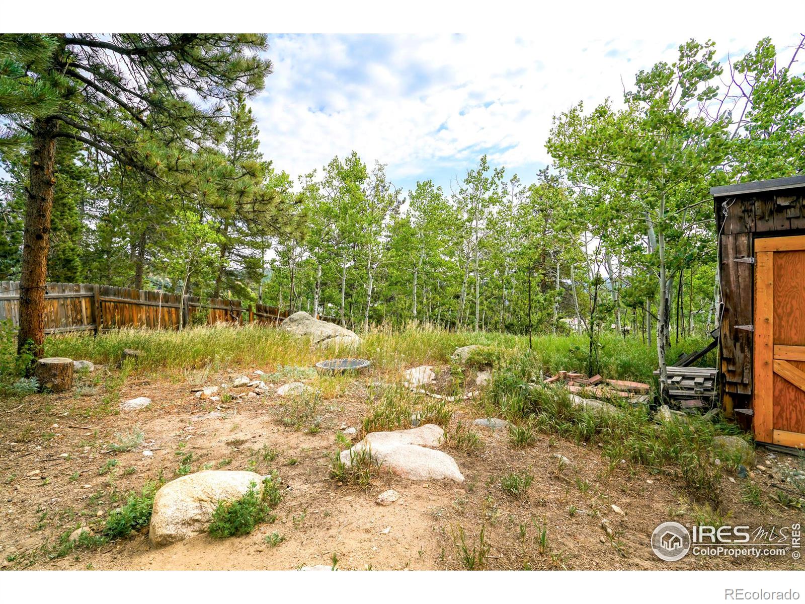 MLS Image #12 for 255 s jackson street,nederland, Colorado