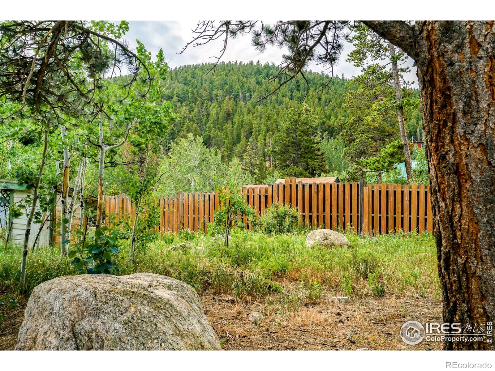 MLS Image #13 for 255 s jackson street,nederland, Colorado