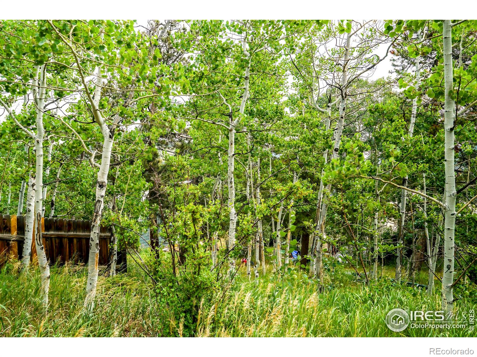 MLS Image #14 for 255 s jackson street,nederland, Colorado