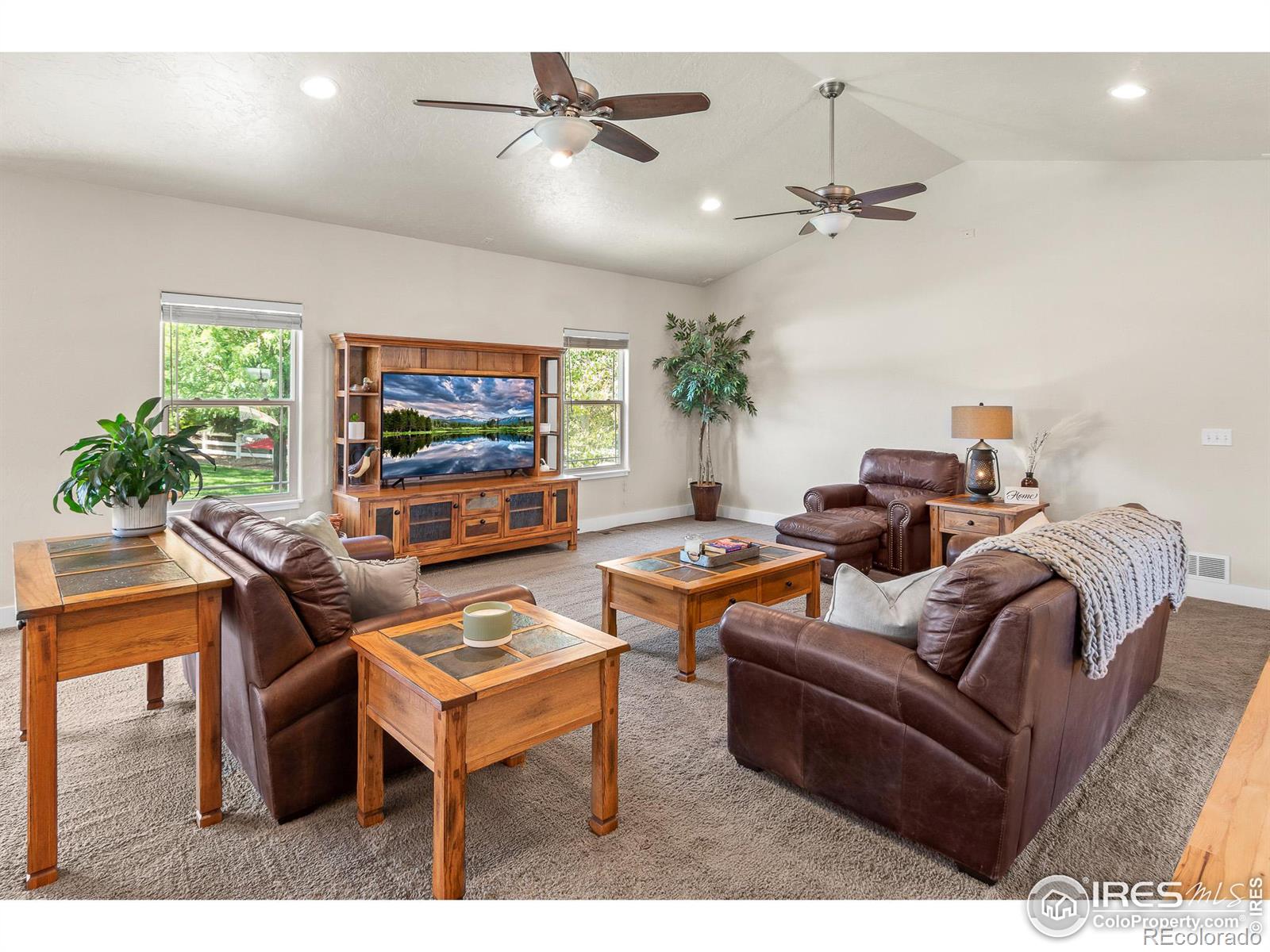 MLS Image #16 for 1327  park ridge drive,severance, Colorado