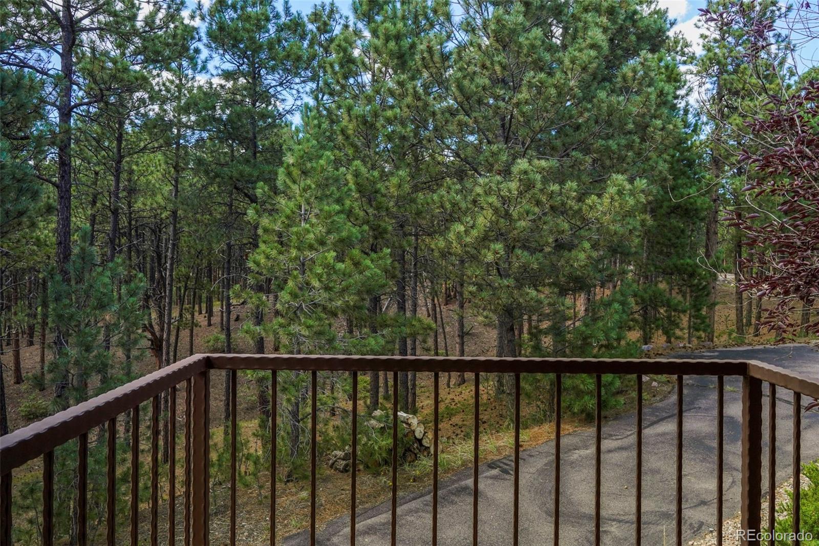 MLS Image #25 for 14350  old lasso point,colorado springs, Colorado