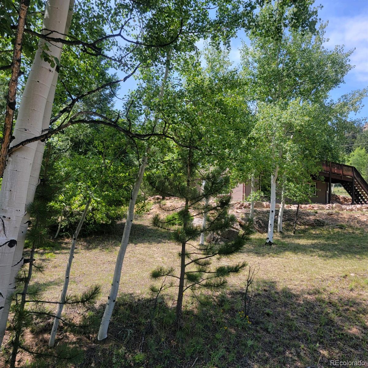 MLS Image #0 for 109  kiowa trail,lake george, Colorado