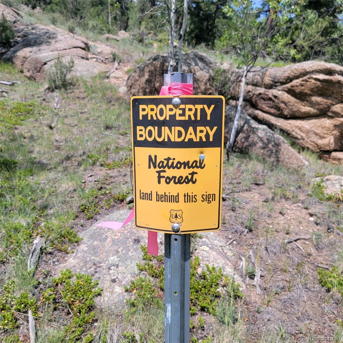 MLS Image #3 for 109  kiowa trail,lake george, Colorado