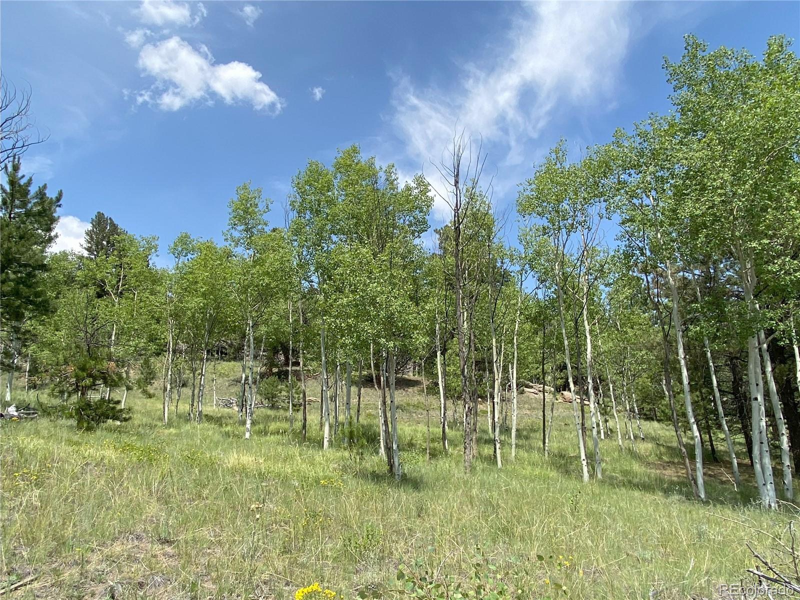 MLS Image #36 for 109  kiowa trail,lake george, Colorado