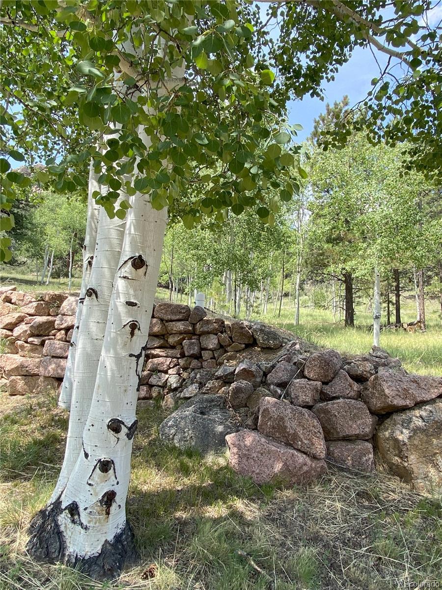 MLS Image #7 for 109  kiowa trail,lake george, Colorado